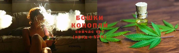 spice Аркадак