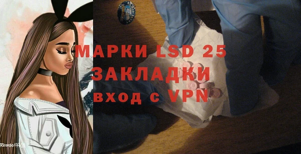 spice Аркадак