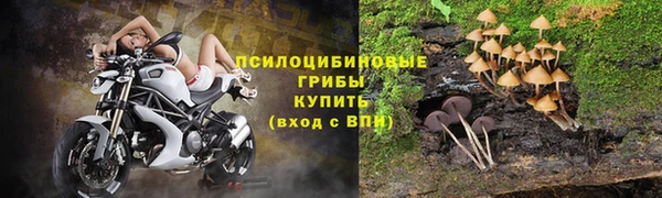 spice Аркадак