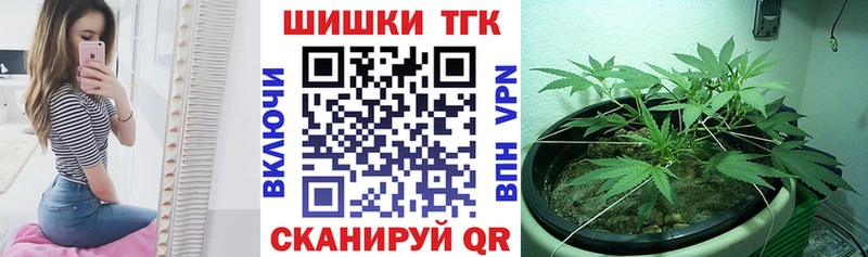 блэк спрут ONION  Сегежа  Бошки Шишки сатива 